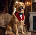 TUX MAXI: The Red Velvet Edition for Retrievers, Labradors, German Shepherds and Husky (Above 2Yrs)