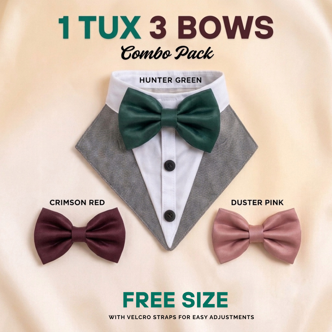 TUX MINI - Shih Tzu, Pugs & Poodles Edition ( Combo pack with 1 Tuxedo and 3 Bow Options)