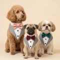 TUX MINI - Shih Tzu, Pugs & Poodles Edition ( Combo pack with 1 Tuxedo and 3 Bow Options)