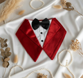 The Red Velvet Tuxedo Neckwear for Retrievers, Labradors, German Shepherds and Husky (Above 2Yrs)